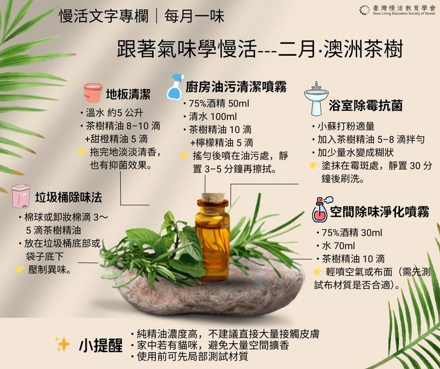 跟著氣味學慢活——二月・澳洲茶樹