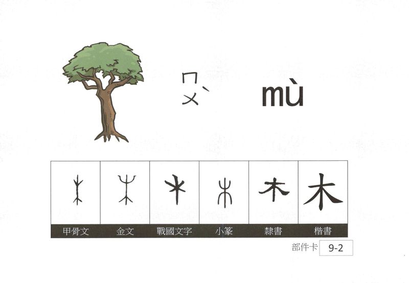 木字部件卡-字體演變